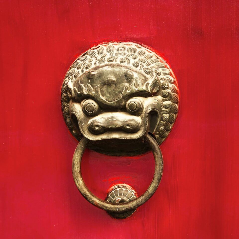 鯨魚在愛情里的寓意，《鯨魚在繁殖季的激烈爭奪中展現愛情的激烈爭奪中的寓意》