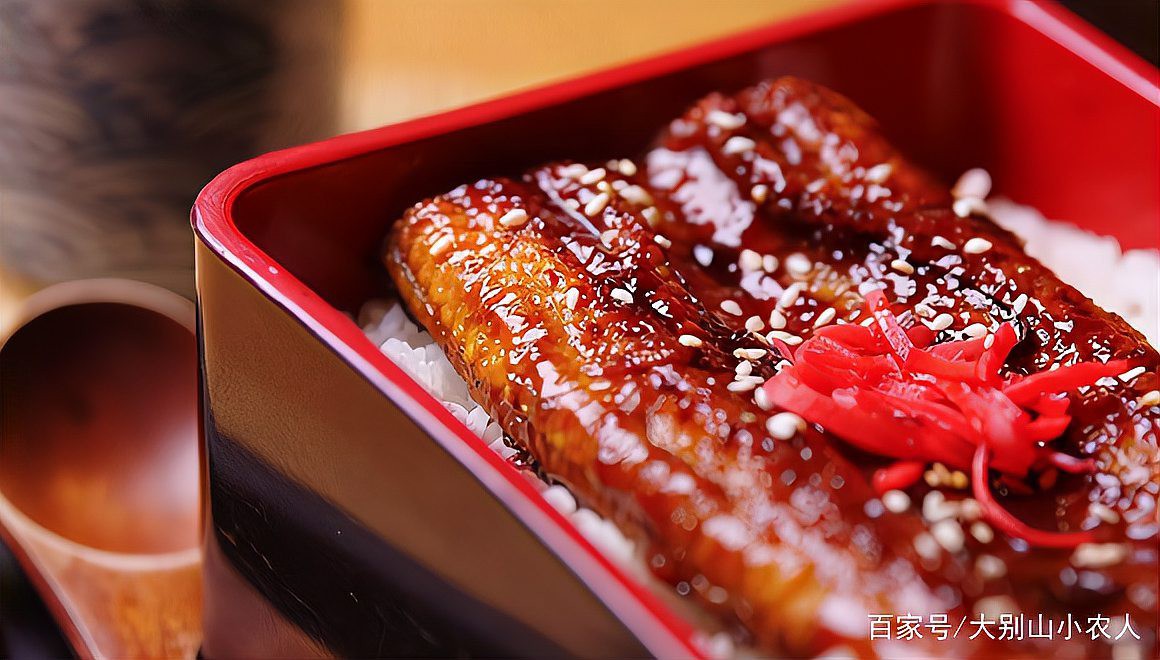 電鰻是國家保護動物嗎，寵物網在野外放生電鰻是國家保護動物嗎寵物網在野外放生電鰻違法嗎