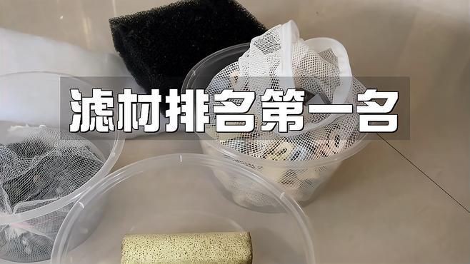 濾材排名第一名，《濾材排名第一名》