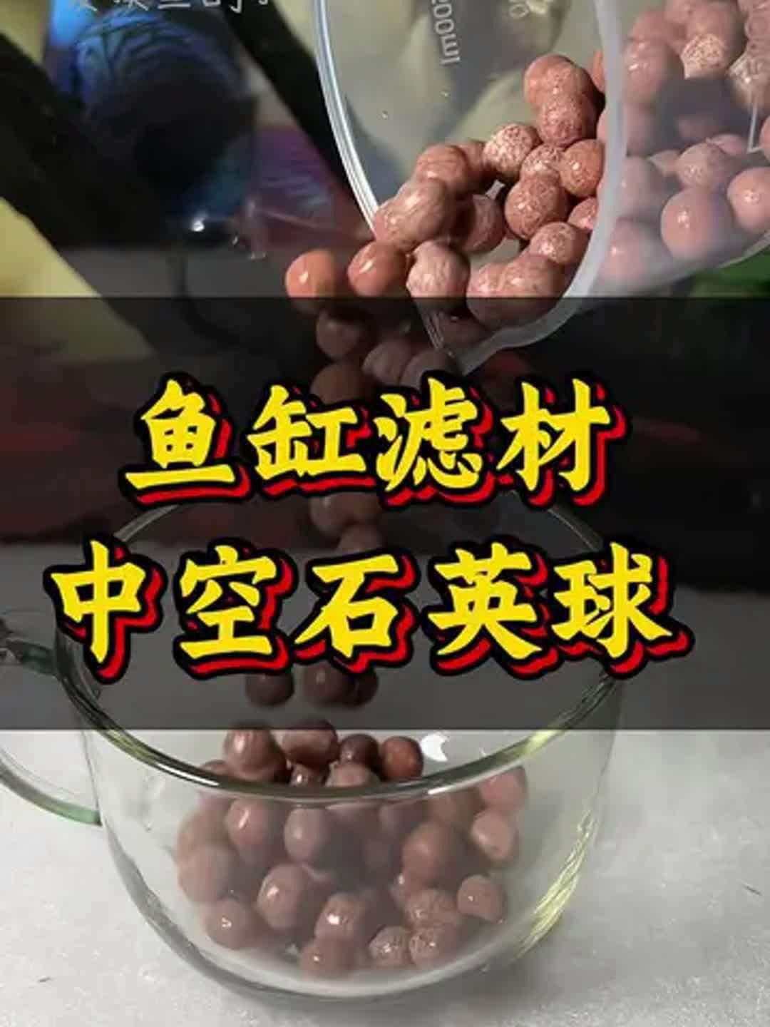 濾材排名第一名，《濾材排名第一名》