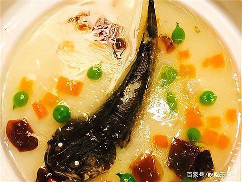 什么是中國龍魚？，火了3000年的中國“四大名魚”如今只有它活成了“爆品”