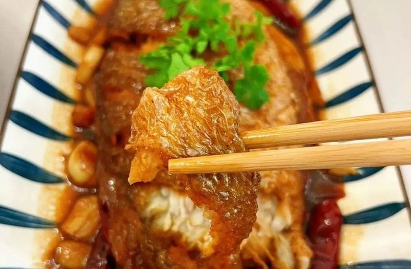 烏后旗龍魚店，烏后旗有龍魚店嗎 烏后旗龍魚店，烏后旗有龍魚店嗎 全國水族館企業名錄 第1張