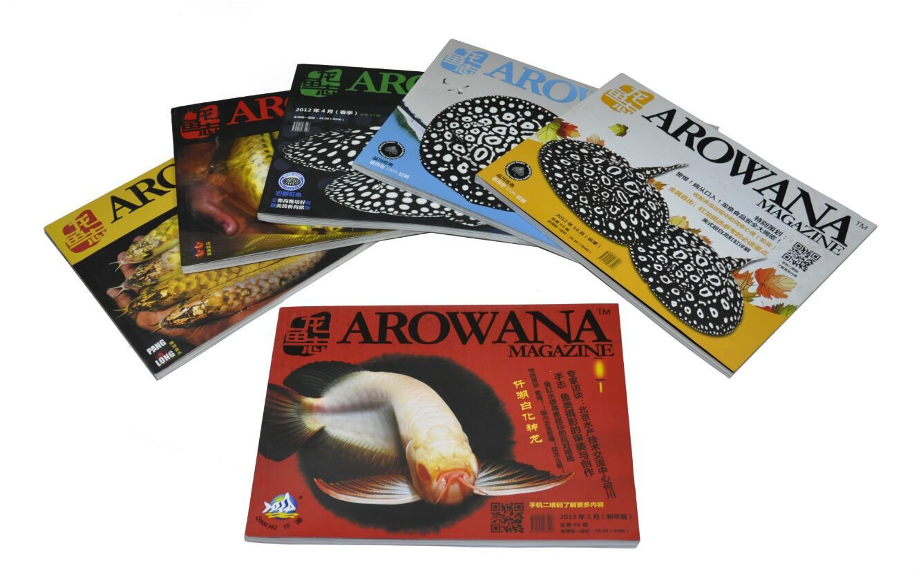 古交龍魚店，北京古交龍魚店有哪些品種古交龍魚店有線上銷售嗎