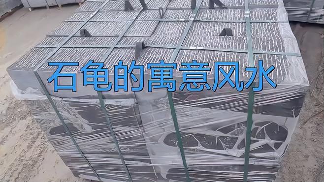 石龜擺放的最佳位置在哪里？，石龜擺放位置大有講究 石龜擺放的最佳位置在哪里？，石龜擺放位置大有講究 龍魚百科 第7張