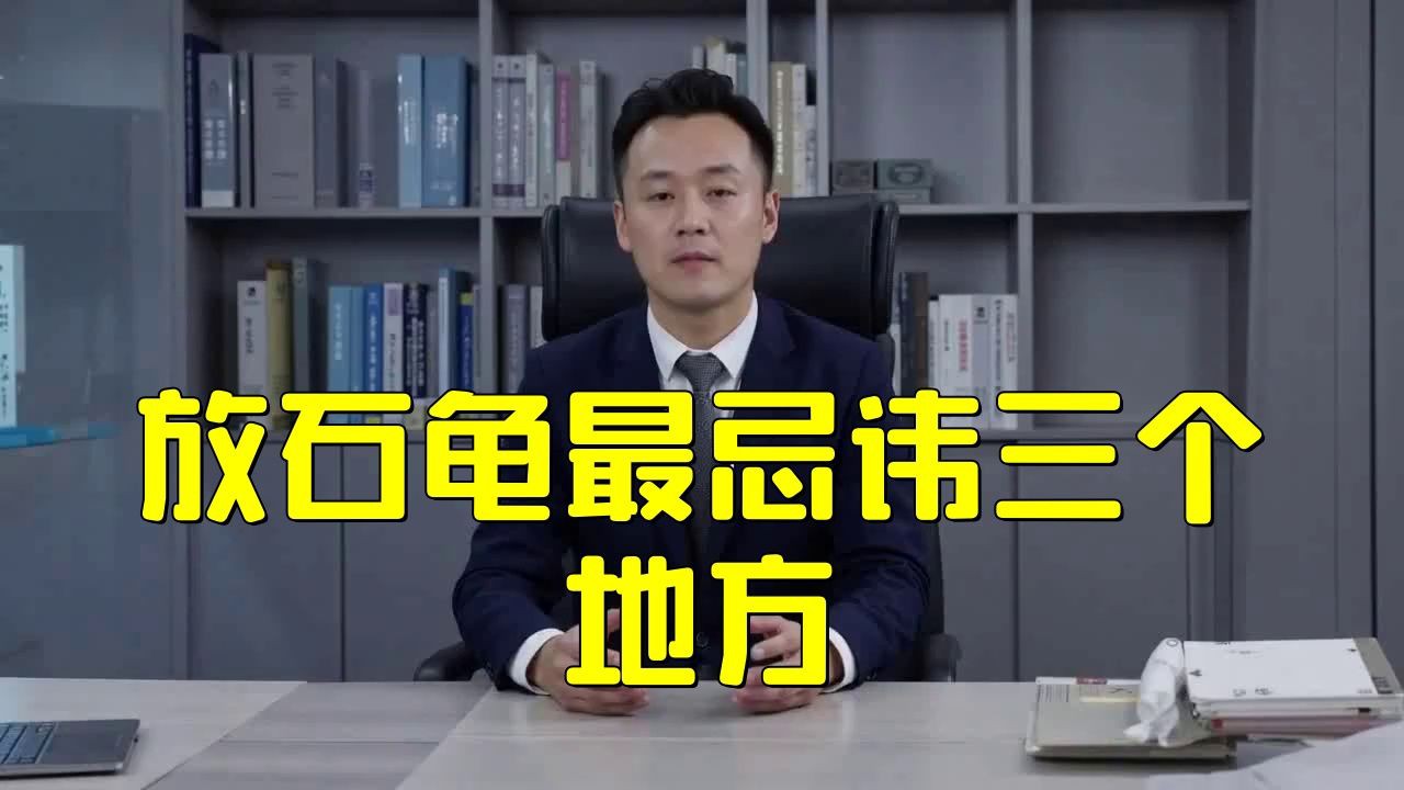 石龜擺放的最佳位置在哪里？，石龜擺放位置大有講究 石龜擺放的最佳位置在哪里？，石龜擺放位置大有講究 龍魚百科 第6張