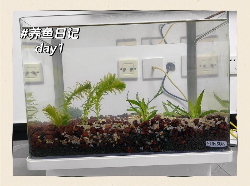商洛魚缸批發市場，商洛市魚缸批發市場