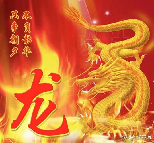 有沒有帶張字的龍圖片？，“有沒有帶張字的龍圖片”與“帶張字的龍”相關(guān)的視覺藝術(shù)創(chuàng)作及資源匯總