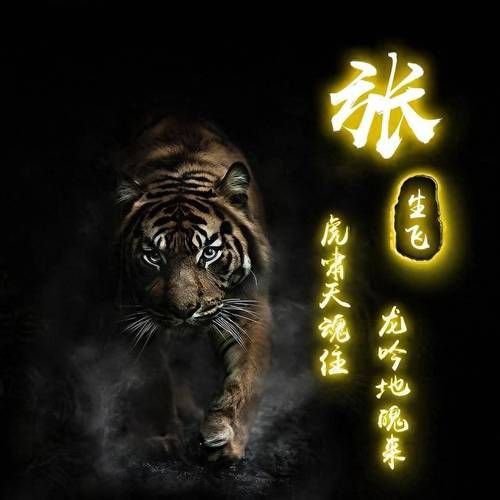 有沒有帶張字的龍圖片？，“有沒有帶張字的龍圖片”與“帶張字的龍”相關(guān)的視覺藝術(shù)創(chuàng)作及資源匯總