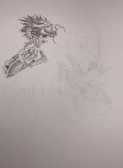 有沒有帶張字的龍圖片？，“有沒有帶張字的龍圖片”與“帶張字的龍”相關(guān)的視覺藝術(shù)創(chuàng)作及資源匯總