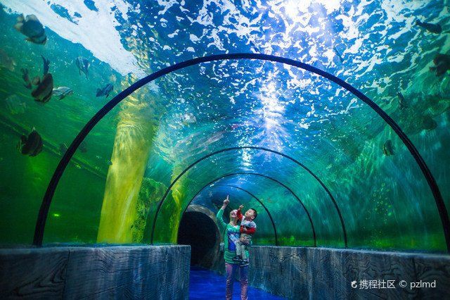 襄樊水族店，襄樊（現襄陽）水族店