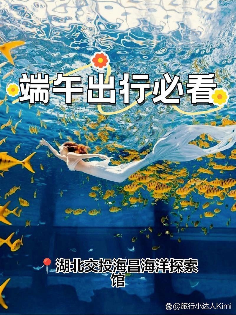 襄樊水族店，襄樊（現襄陽）水族店