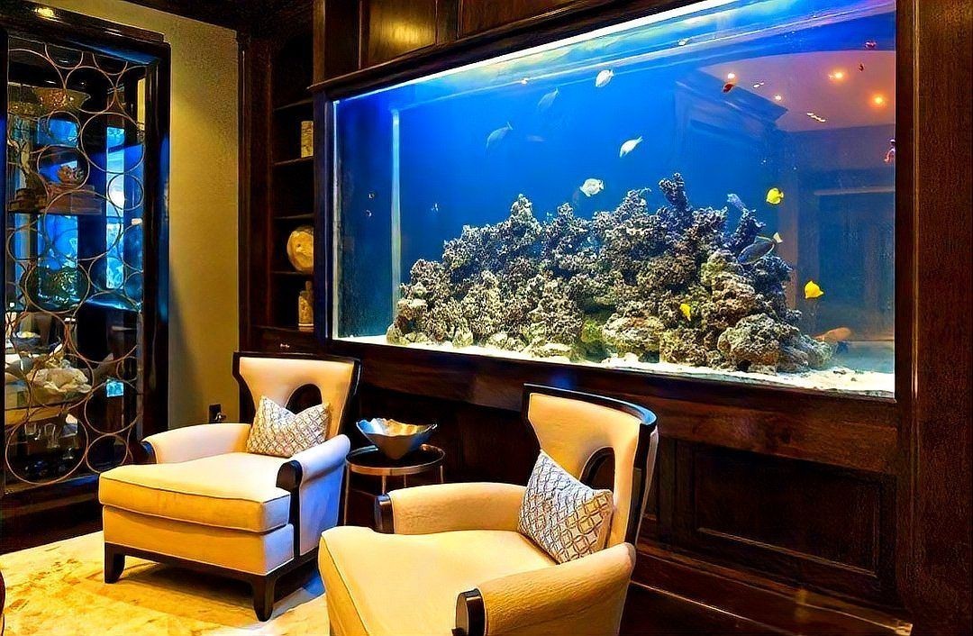 魚缸的正確擺放位置，家居風水魚缸擺放位置 魚缸的正確擺放位置，家居風水魚缸擺放位置 龍魚百科 第11張