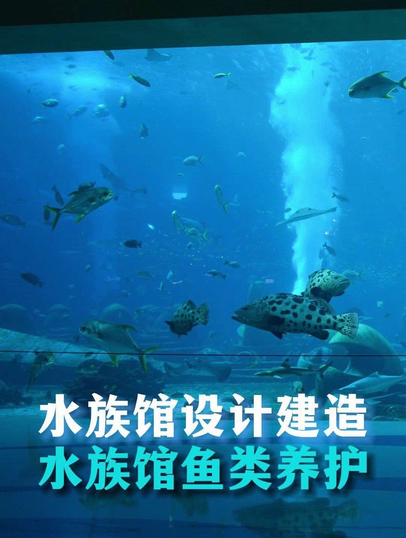 黃山水族店，黃山市屯溪區金海洋水族館