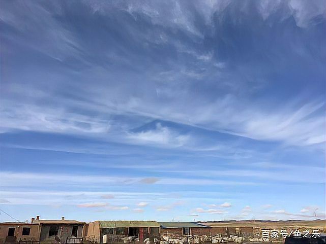 巴青水族店，巴青水族店是一家獨具特色的水族用品專賣店，環境優雅