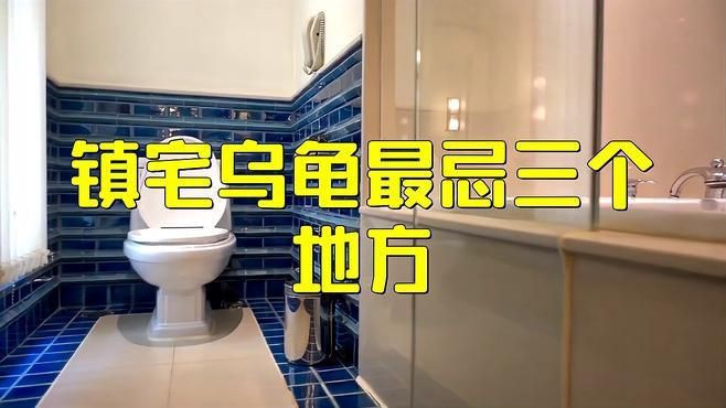 石龜擺放有哪些禁忌方位？，家里養(yǎng)龜千萬別放這位置!放錯(cuò)可能壞了長壽運(yùn)!