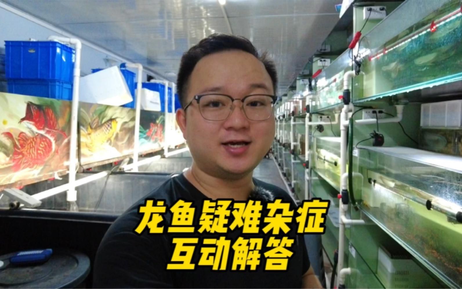 養兩條龍魚有哪些注意事項？，《養兩條龍魚的注意事項》飼養兩條龍魚是一項頗具挑戰性的水族活動 養兩條龍魚有哪些注意事項？，《養兩條龍魚的注意事項》飼養兩條龍魚是一項頗具挑戰性的水族活動 龍魚論壇 第9張