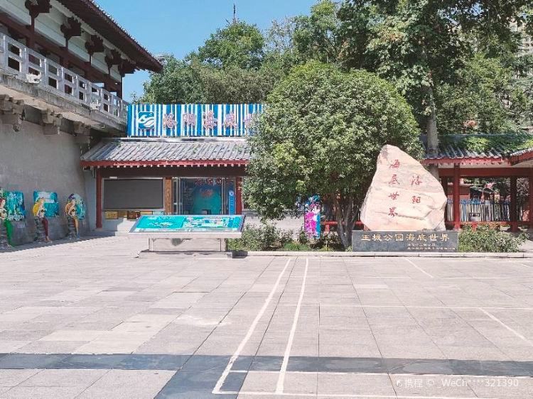 洛陽一二水族最厲害三個地方，洛陽水族主題場所各具特色