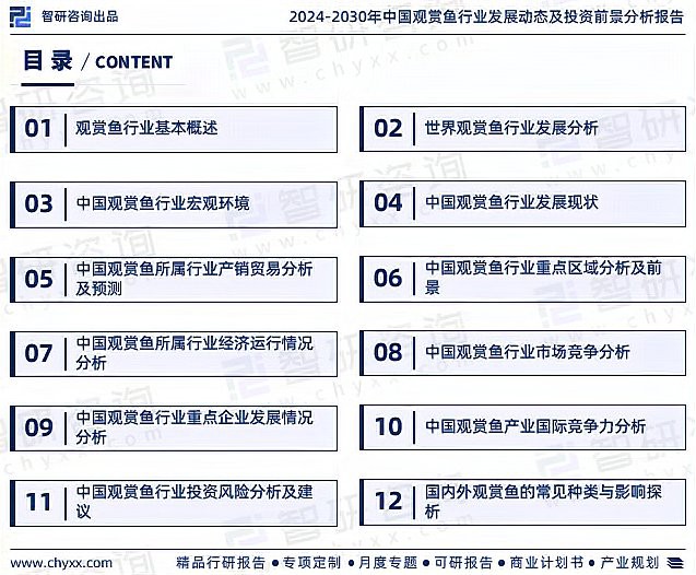 七彩野彩魚價格表，“七彩野彩魚價格表”聚焦于野生七彩神仙魚市場價格體系分析