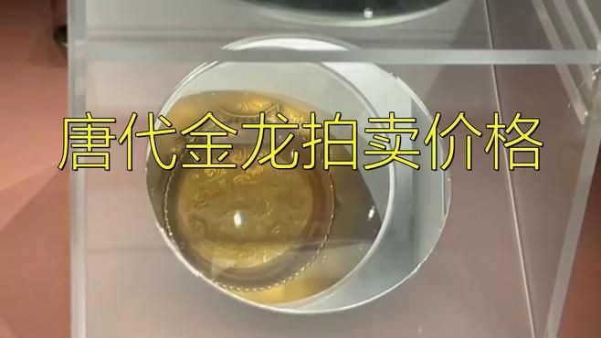 古典金龍的價格范圍，古典過背金龍價格大揭秘,幾百元就能買到高品質(zhì)