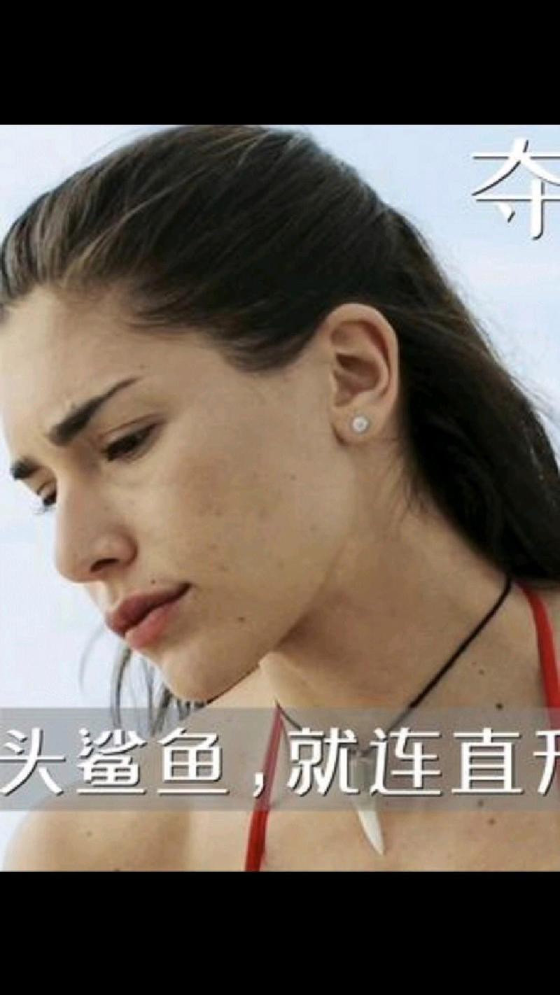 世界上真的有五頭鯊嗎，《世界上真的有五頭鯊嗎》五大鯊魚充滿的神秘與未知 世界上真的有五頭鯊嗎，《世界上真的有五頭鯊嗎》五大鯊魚充滿的神秘與未知 龍魚論壇 第6張