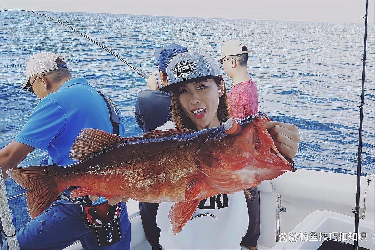 海魚價格排名大全，全球十大最昂貴海魚排行榜張三少云柳葉落了盤點海洋中價值不菲的10種魚類