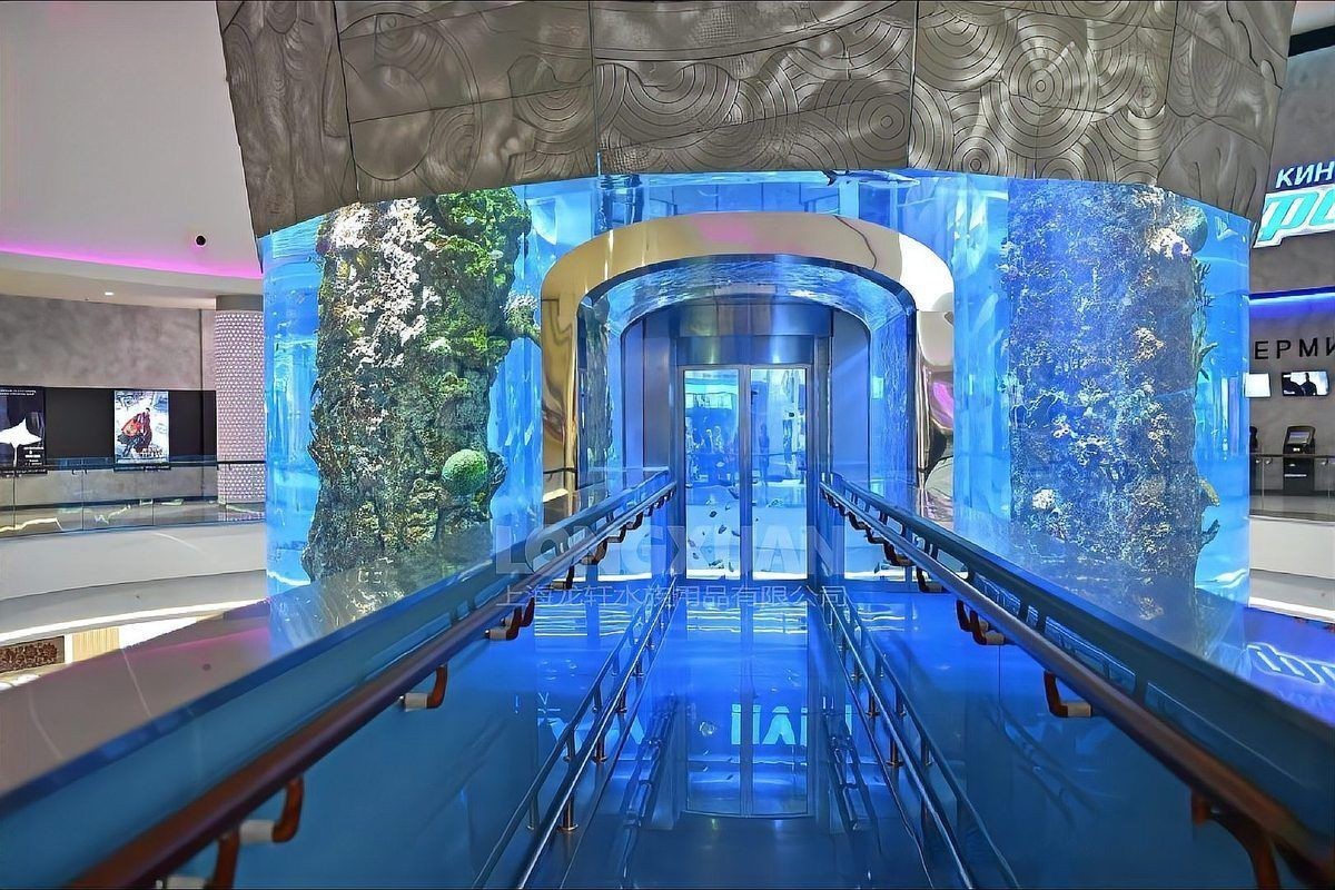 錦州魚缸定做，錦州地區的魚缸定做服務展現出多樣化與專業化的特點