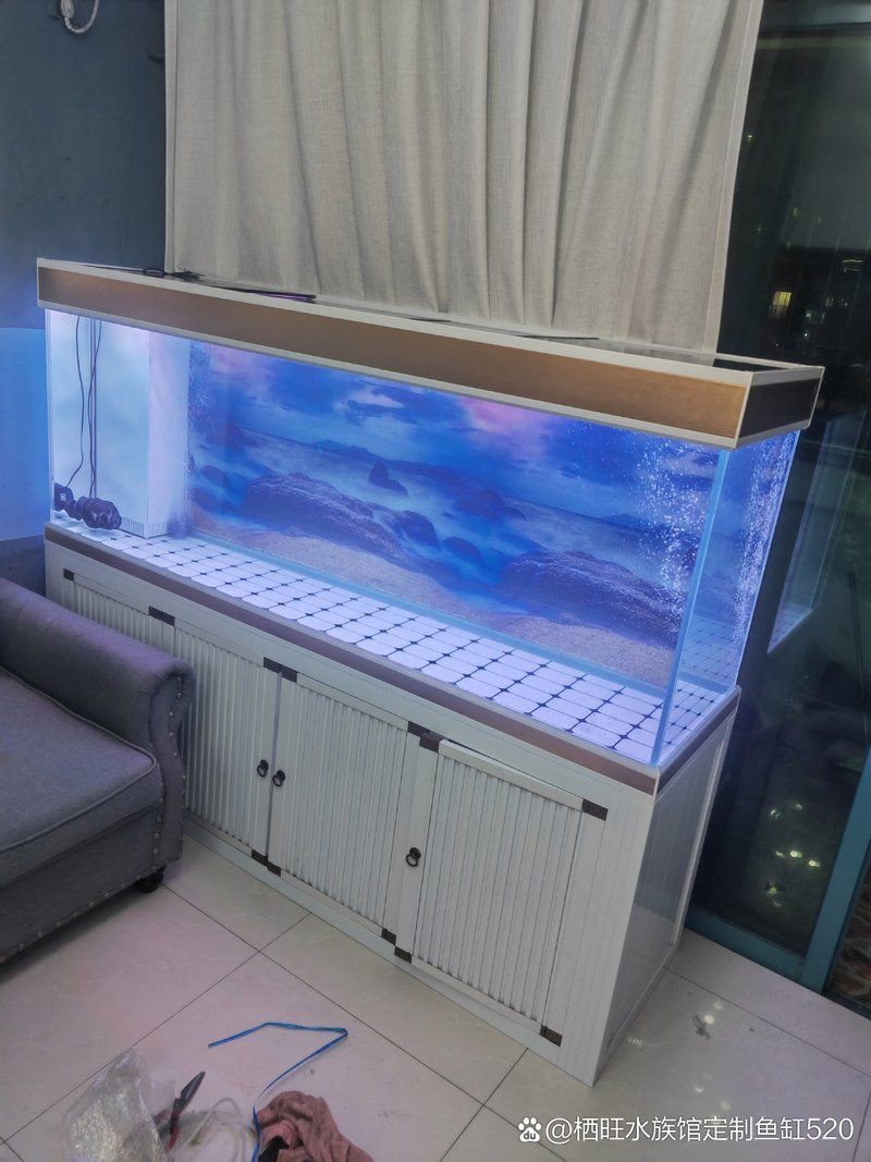 白城魚缸店，關于白城市魚缸店及相關水族館的綜合信息