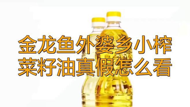 如何判斷金頭金龍魚的真偽？，《如何判斷金頭金龍魚的真偽》鑒別金頭金龍魚真偽 如何判斷金頭金龍魚的真偽？，《如何判斷金頭金龍魚的真偽》鑒別金頭金龍魚真偽 龍魚論壇 第3張