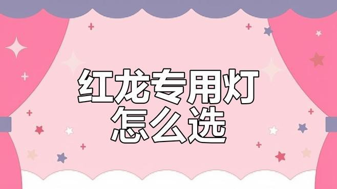 如何判斷紅龍魚是否需要發色燈？，如何判斷紅龍魚是否需要使用發色燈