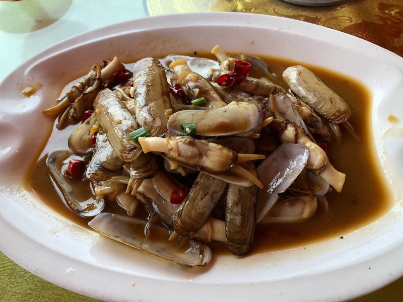 嵊泗龍魚店，嵊泗龍魚店哪家口碑最好