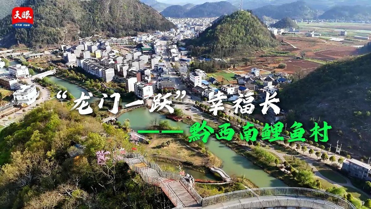 興仁龍魚店，興仁龍魚店是廣州久龍酒店集團旗下的分店興仁龍魚店