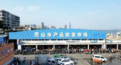 湛江水族批發市場，湛江水族批發市場以霞山水產品批發市場為核心