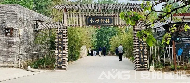 安陽(yáng)龍魚店，安陽(yáng)龍魚市場(chǎng)營(yíng)業(yè)時(shí)間