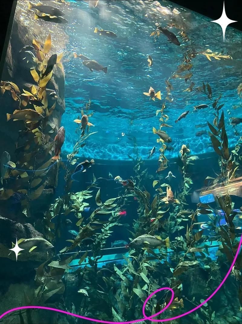 株洲水族館，株洲水族館——株洲水族館