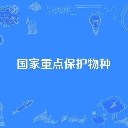 國家一二三級保護動物，中國對野生動物保護動物實施分級保護制度和瀕危劃分