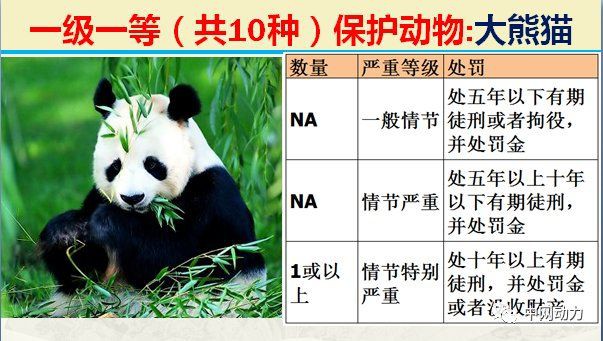 國家一二三級保護動物，中國對野生動物保護動物實施分級保護制度和瀕危劃分