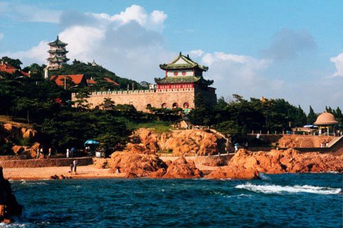 山東水族店，山東水族館哪個最受歡迎