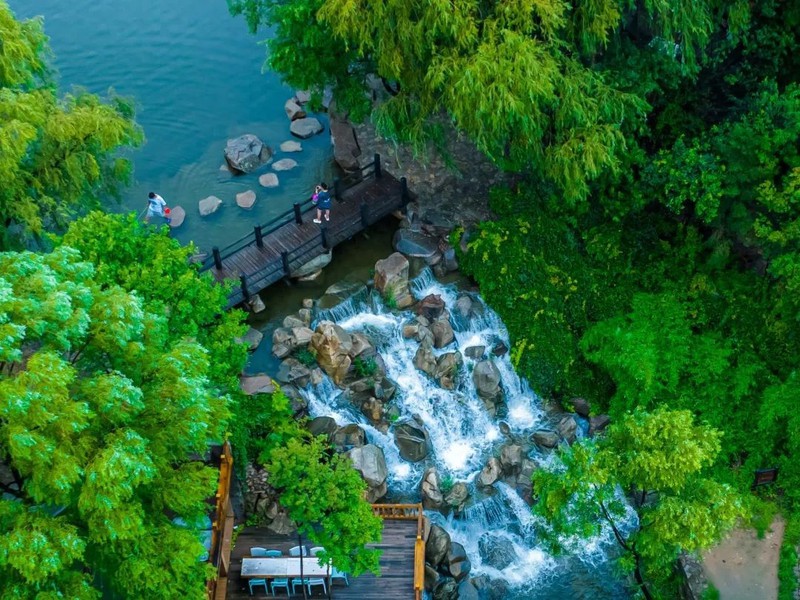 山東水族店，山東水族館哪個最受歡迎
