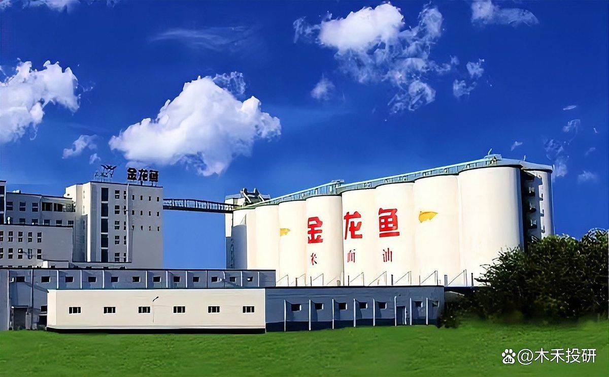 邢臺(tái)龍魚(yú)店，探尋邢臺(tái)美食的好去