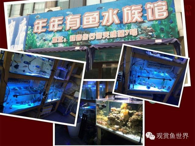 <strong><mark>常州</mark></strong>水族店，<strong><mark>常州</mark></strong>哪家水族店口碑最好