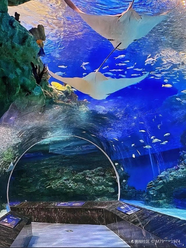 常州水族店，常州哪家水族店口碑最好