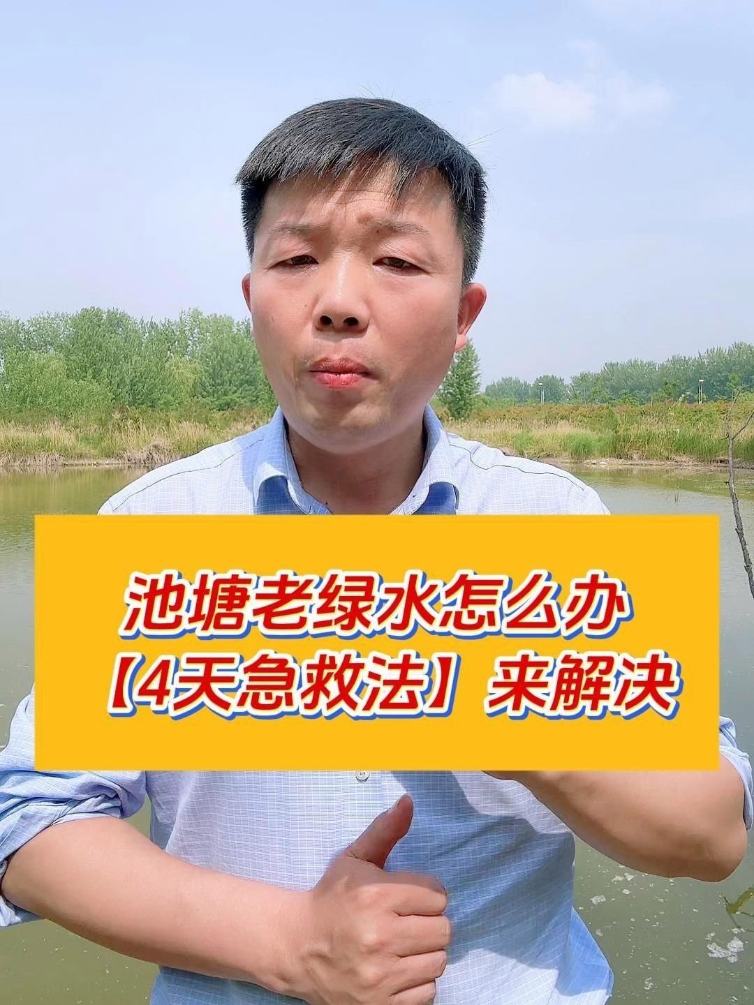 露天魚池水變綠怎么處理，《露天魚池水變綠處理方法摘要》