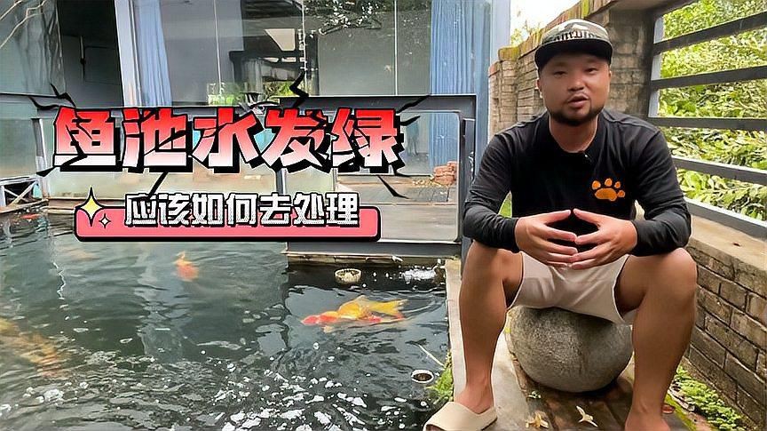 露天魚池水變綠怎么處理，《露天魚池水變綠處理方法摘要》