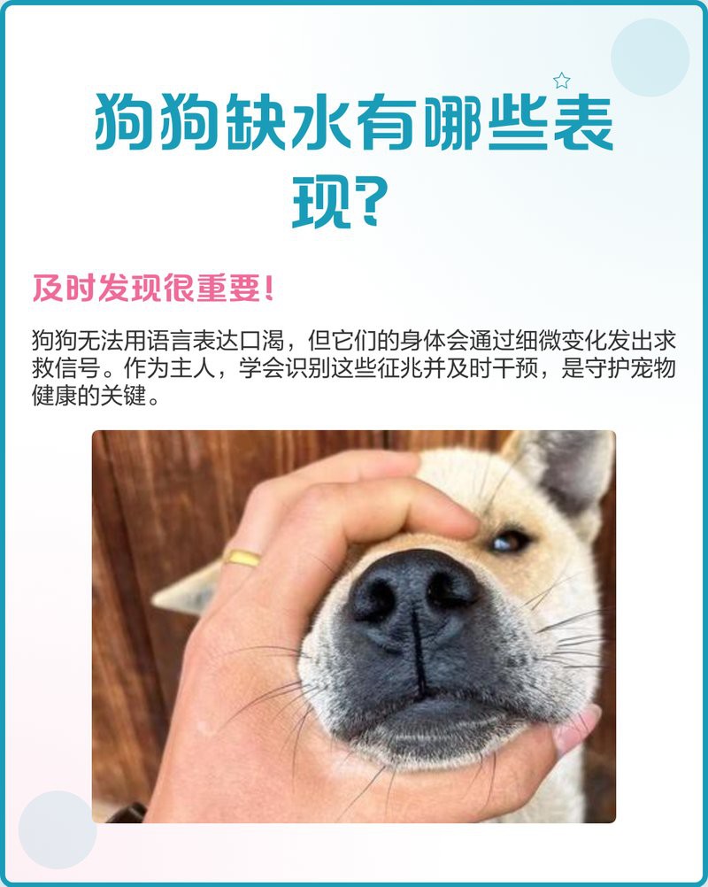 哪些征兆表明小火龍需要補水？，判斷小火龍是否缺水的相關征兆