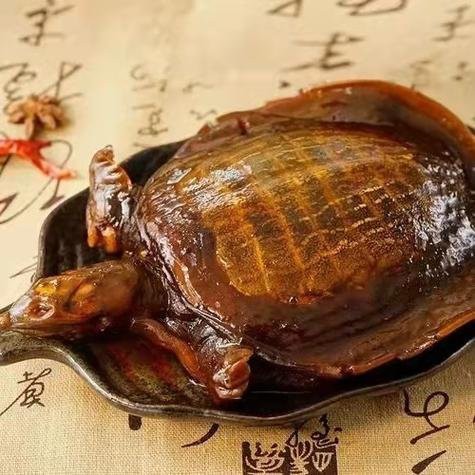臥龍龍魚店，臥龍龍魚店哪家口碑最好