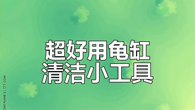 哪些清潔用品適合龍龜？，愛奇藝龜背除藻神器～嘟嘟寶清理龜缸必備 哪些清潔用品適合龍龜？，愛奇藝龜背除藻神器～嘟嘟寶清理龜缸必備 龍魚百科 第3張