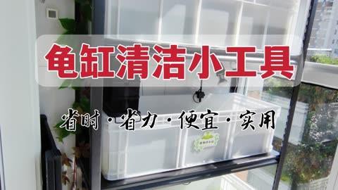 哪些清潔用品適合龍龜？，愛奇藝龜背除藻神器～嘟嘟寶清理龜缸必備 哪些清潔用品適合龍龜？，愛奇藝龜背除藻神器～嘟嘟寶清理龜缸必備 龍魚百科 第1張