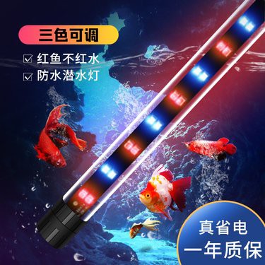 仁和龍魚店，仁和龍魚店怎么樣 仁和龍魚店，仁和龍魚店怎么樣 全國水族館企業(yè)名錄 第1張