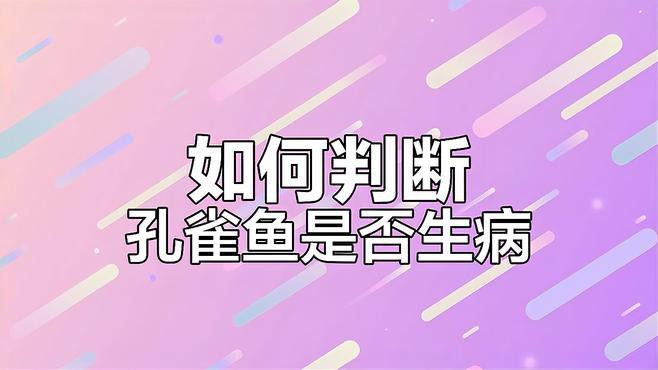 如何判斷紅龍孔雀魚是否健康？，《如何判斷紅龍孔雀魚是否健康》10個關鍵點教你識別