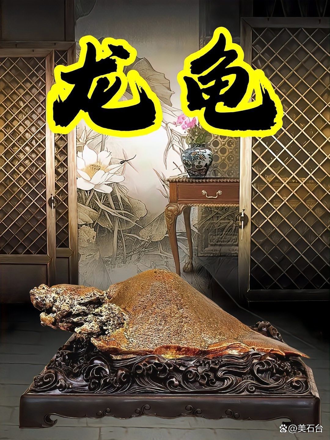 哪里可以找到高清的龍龜圖片？，關(guān)于獲取龍龜高清圖片的推薦途徑及相關(guān)信息及信息